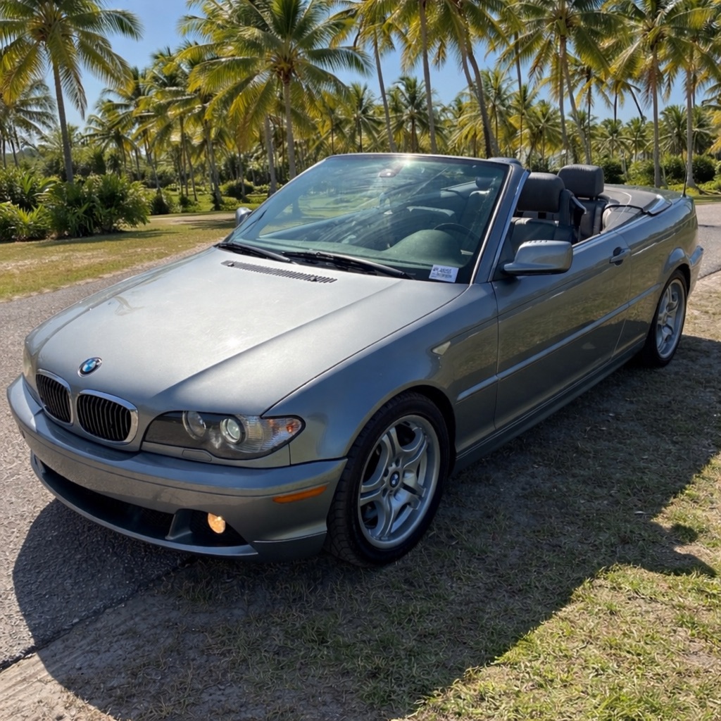 2004 BMW 3 Series 330