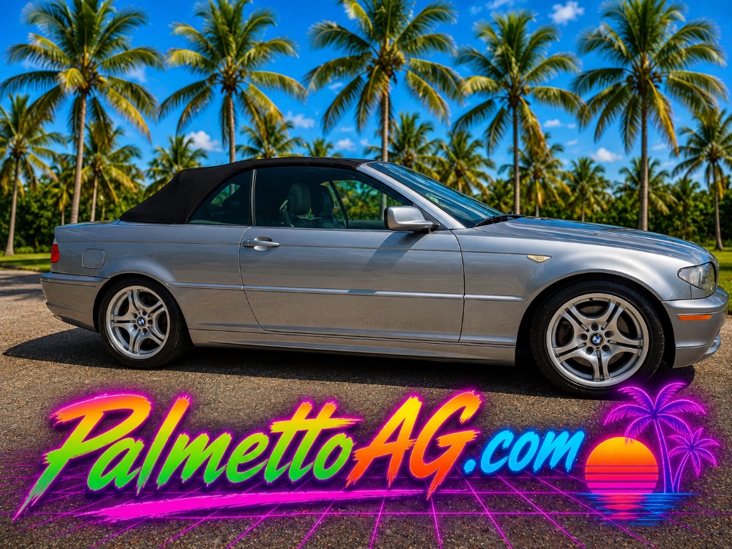 2004 BMW 3 Series 330Cic's photo